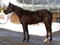 ����å��ǳ��������ɽ�����ޤ�