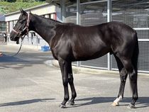 ����å��ǳ��������ɽ�����ޤ�