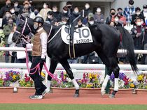 ����å��ǳ��������ɽ�����ޤ�