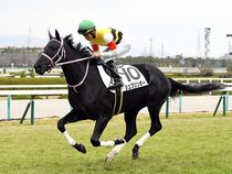 ����å��ǳ��������ɽ�����ޤ�