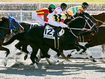 ����å��ǳ��������ɽ�����ޤ�