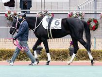 ����å��ǳ��������ɽ�����ޤ�