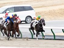 ����å��ǳ��������ɽ�����ޤ�