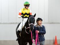 ����å��ǳ��������ɽ�����ޤ�