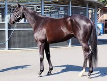 ����å��ǳ��������ɽ�����ޤ�