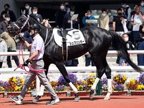 ����å��ǳ��������ɽ�����ޤ�