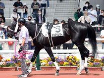 ����å��ǳ��������ɽ�����ޤ�