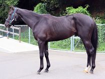 ����å��ǳ��������ɽ�����ޤ�