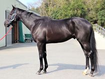 ����å��ǳ��������ɽ�����ޤ�