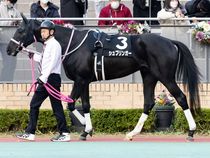 ����å��ǳ��������ɽ�����ޤ�