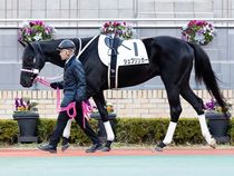 ����å��ǳ��������ɽ�����ޤ�