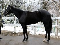 ����å��ǳ��������ɽ�����ޤ�