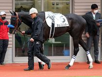 ����å��ǳ��������ɽ�����ޤ�