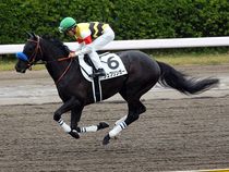 ����å��ǳ��������ɽ�����ޤ�