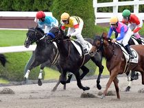 ����å��ǳ��������ɽ�����ޤ�