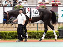 ����å��ǳ��������ɽ�����ޤ�