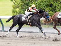 ����å��ǳ��������ɽ�����ޤ�