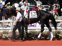 ����å��ǳ��������ɽ�����ޤ�