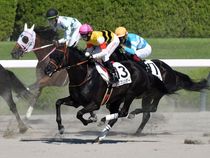 ����å��ǳ��������ɽ�����ޤ�