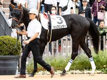 ����å��ǳ��������ɽ�����ޤ�