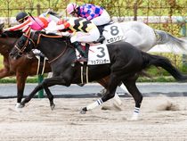 ����å��ǳ��������ɽ�����ޤ�