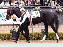 ����å��ǳ��������ɽ�����ޤ�