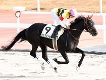 ����å��ǳ��������ɽ�����ޤ�