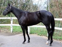 ����å��ǳ��������ɽ�����ޤ�