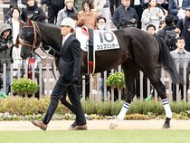 ����å��ǳ��������ɽ�����ޤ�