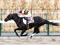 ����å��ǳ��������ɽ�����ޤ�