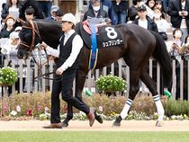 ����å��ǳ��������ɽ�����ޤ�