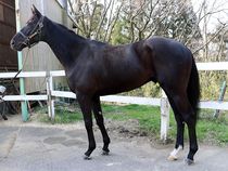 ����å��ǳ��������ɽ�����ޤ�