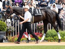 ����å��ǳ��������ɽ�����ޤ�