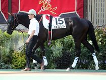 ����å��ǳ��������ɽ�����ޤ�