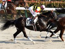 ����å��ǳ��������ɽ�����ޤ�