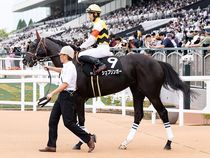 ����å��ǳ��������ɽ�����ޤ�