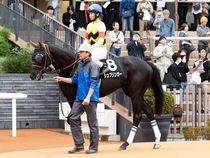 ����å��ǳ��������ɽ�����ޤ�