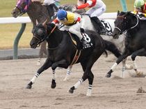 ����å��ǳ��������ɽ�����ޤ�