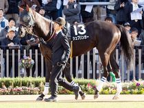 ����å��ǳ��������ɽ�����ޤ�