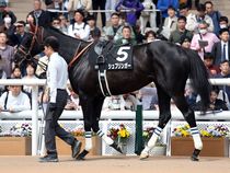 ����å��ǳ��������ɽ�����ޤ�