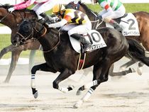 ����å��ǳ��������ɽ�����ޤ�