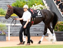 ����å��ǳ��������ɽ�����ޤ�