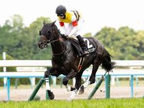 ����å��ǳ��������ɽ�����ޤ�