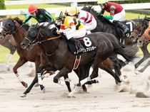 ����å��ǳ��������ɽ�����ޤ�