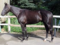 ����å��ǳ��������ɽ�����ޤ�