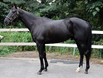 ����å��ǳ��������ɽ�����ޤ�