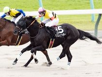 ����å��ǳ��������ɽ�����ޤ�