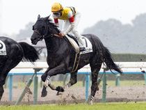 ����å��ǳ��������ɽ�����ޤ�