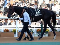 ����å��ǳ��������ɽ�����ޤ�