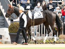 ����å��ǳ��������ɽ�����ޤ�